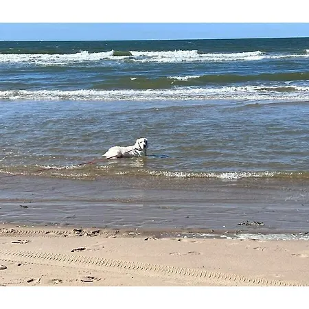 Grevelingen 60 Feriehus