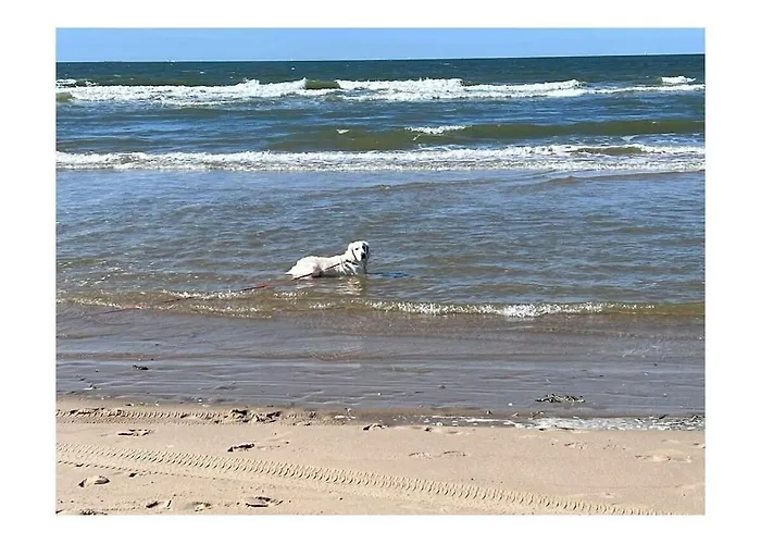 Grevelingen 60 Holiday home